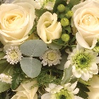 Seasonal Sympathy Wreath   Available In 8 Colours